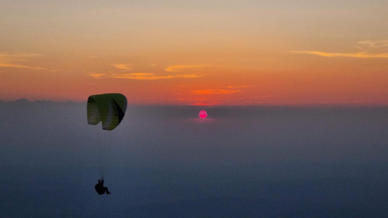 La Belle Histoire Gite Ventoux Bédoin Exteriör bild